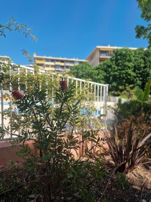 Vue Mer Sur Les Hauteurs De Appartement